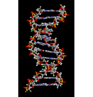 DNA Module